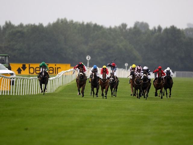 We're racing at Ripon (pictured), Haydock and Bangor this afternoon